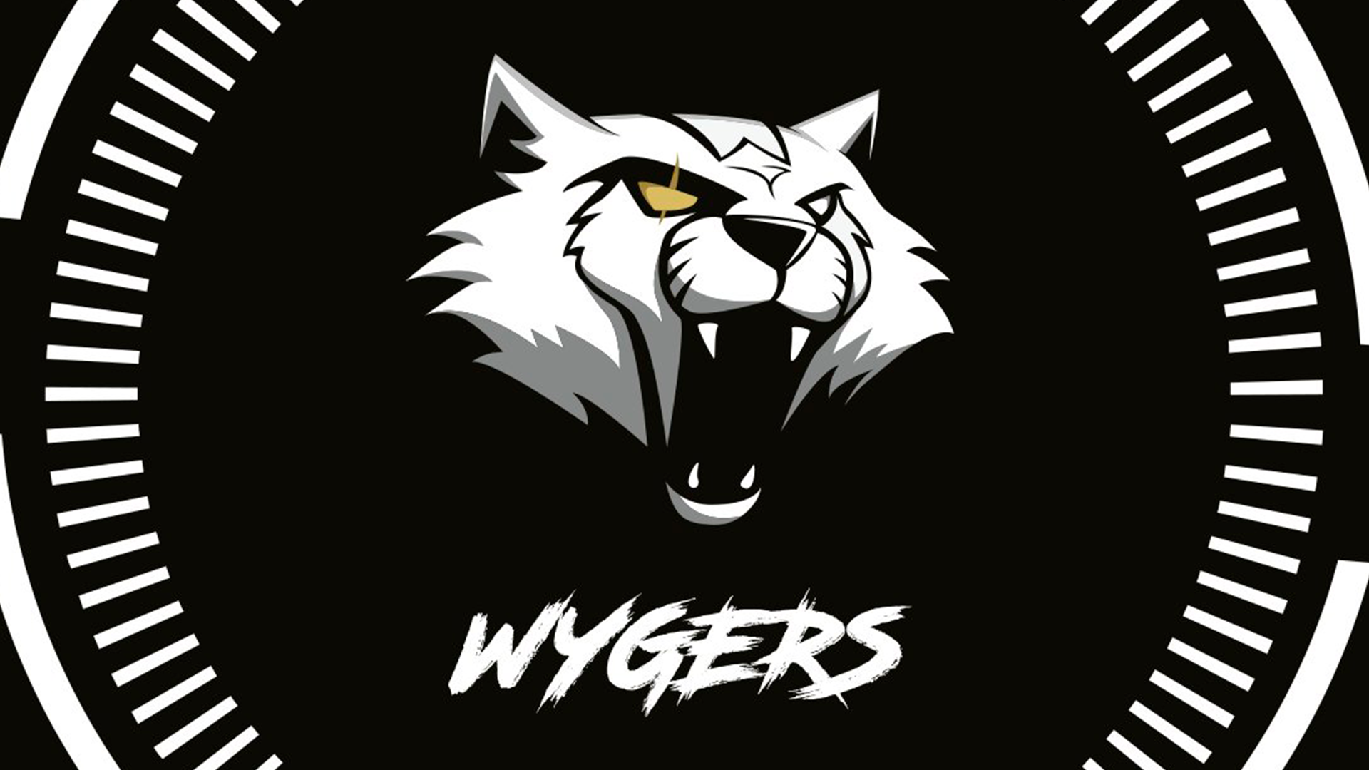 Wygers, el primer club español que busca financiación a través de equity crowdfunding