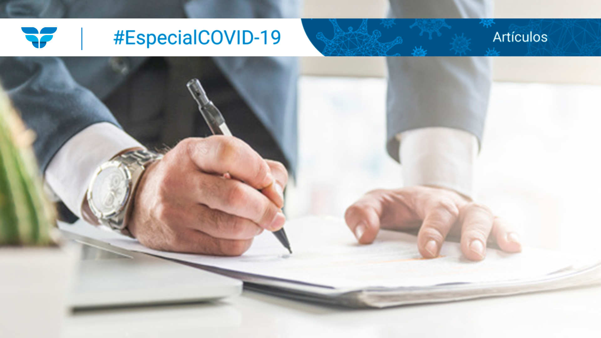 Régimen específico de suspensión de contratos públicos