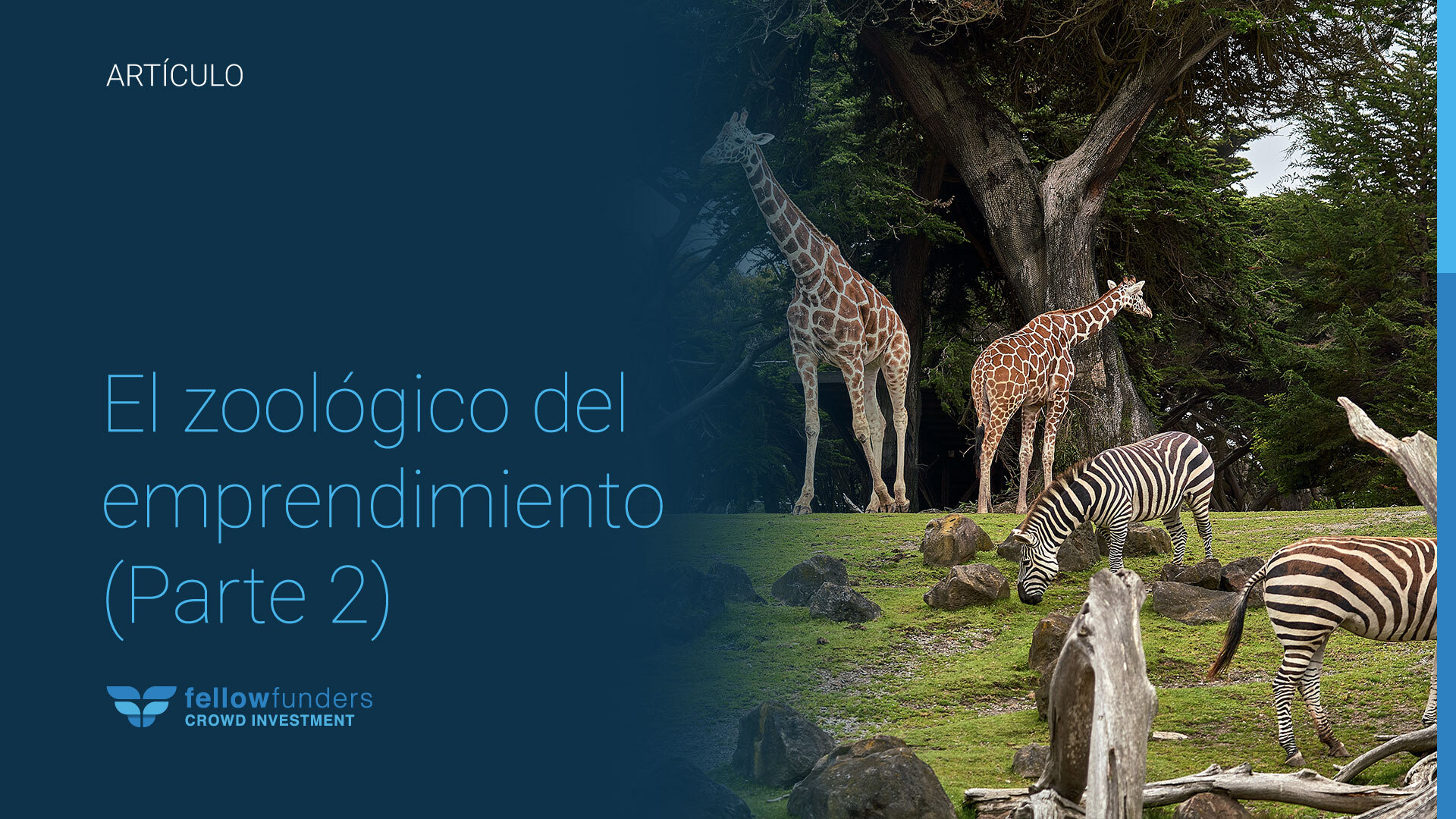 El zoológico del emprendimiento (2)