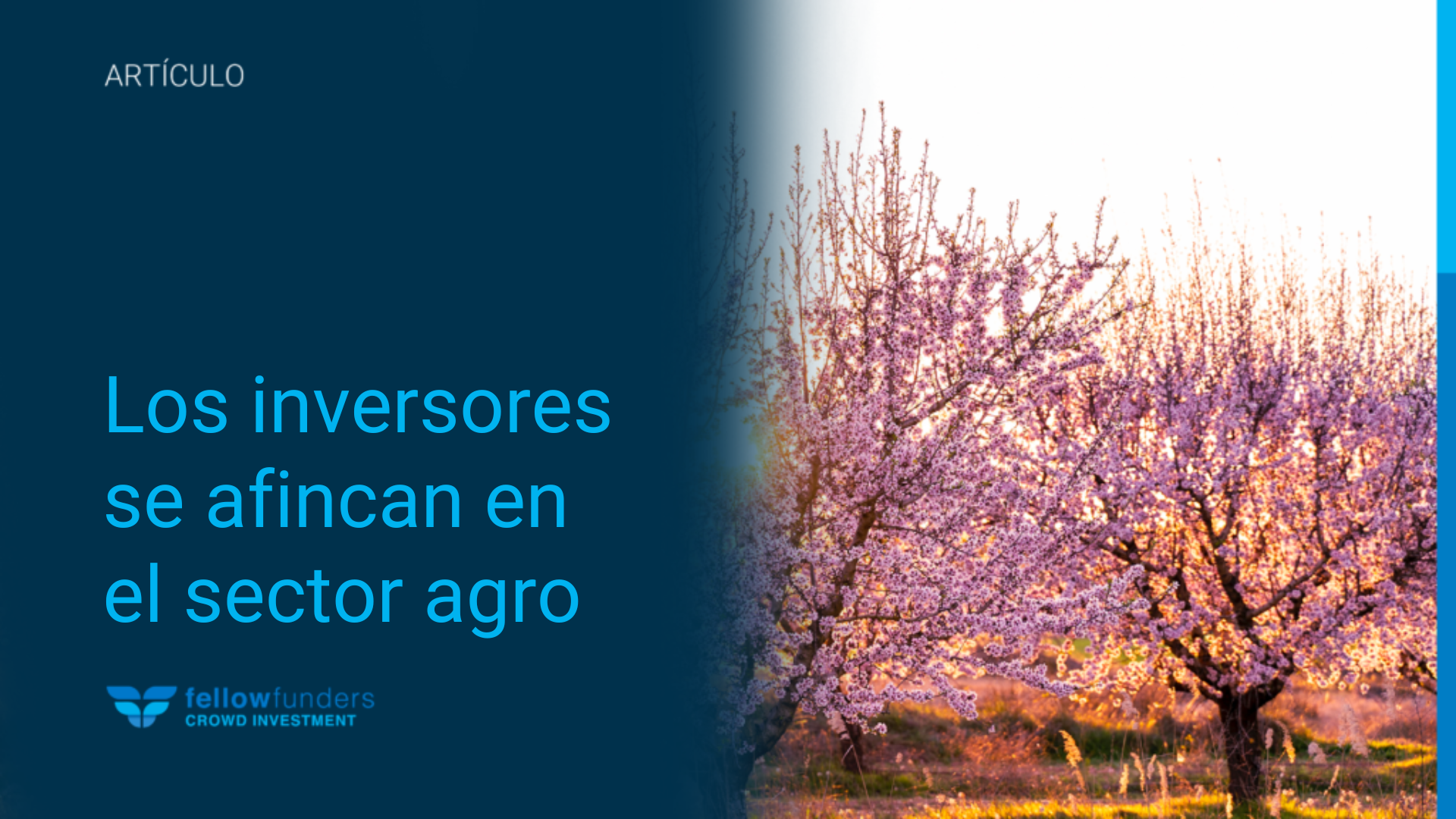 Una inversión que da sus frutos