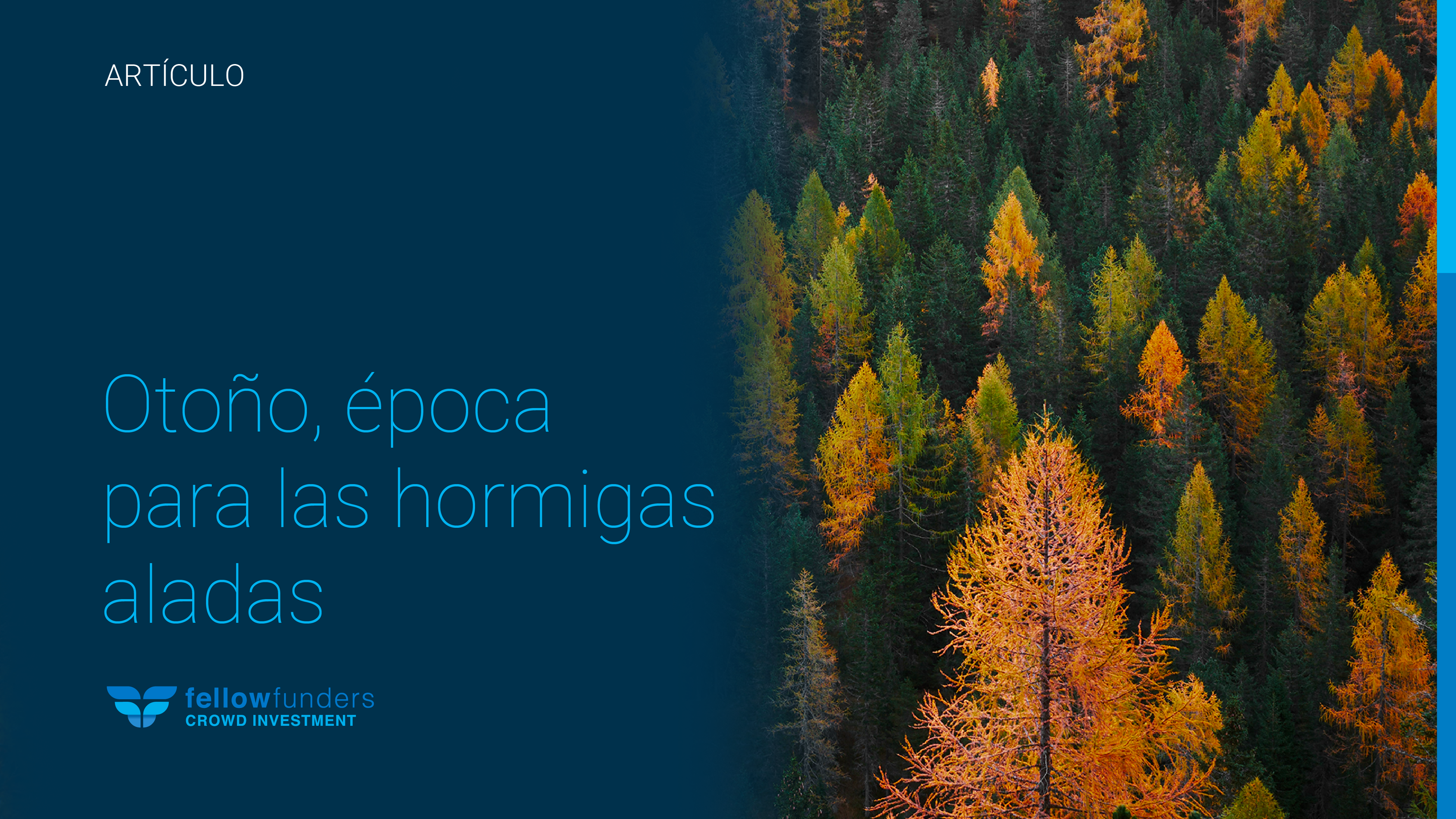 Otoño, época para las hormigas aladas
